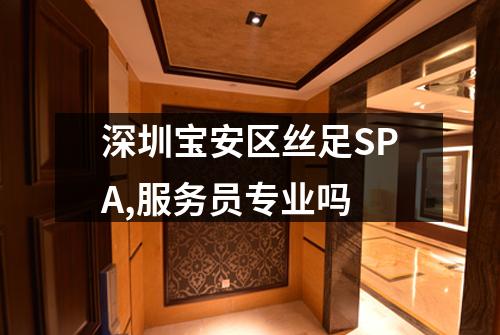 深圳宝安区丝足SPA,服务员专业吗