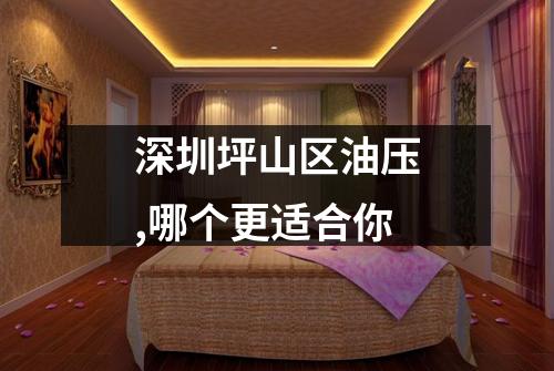 深圳坪山区油压,哪个更适合你